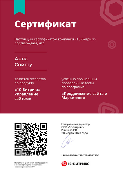 Сойтту Анна Продвижение сайта и маркетинг